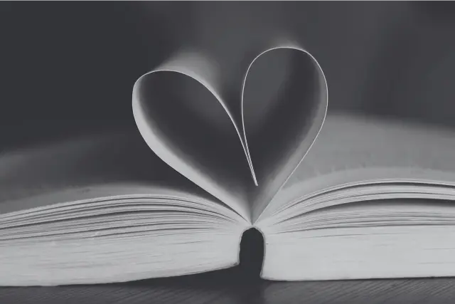 Ma Plume Et Vous
